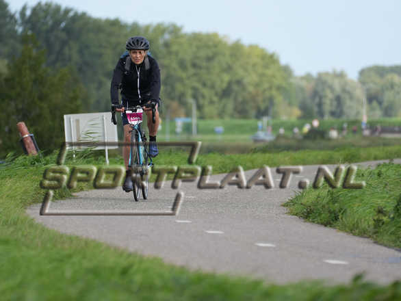 D2201.jpg